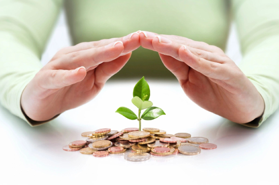 Hands protecting seedling growing from coins